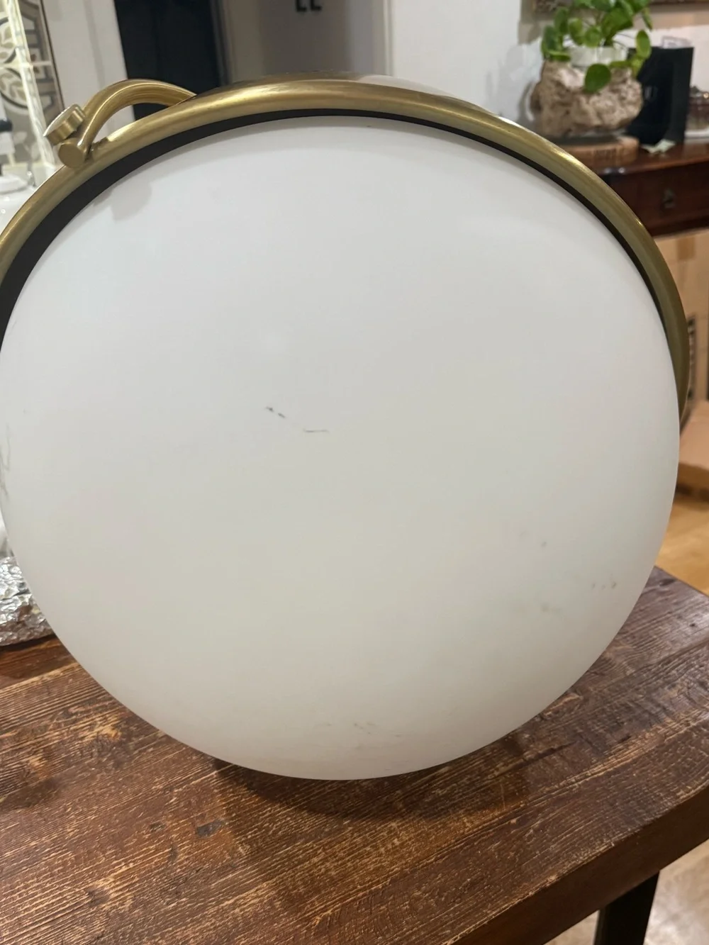 CB2 Brass Half-Globe Pendant in Gold and White